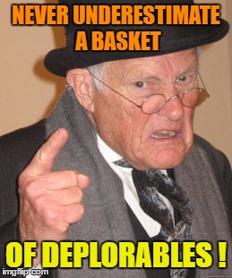 Back In My Day Meme | NEVER UNDERESTIMATE A BASKET OF DEPLORABLES ! | image tagged in memes,back in my day | made w/ Imgflip meme maker