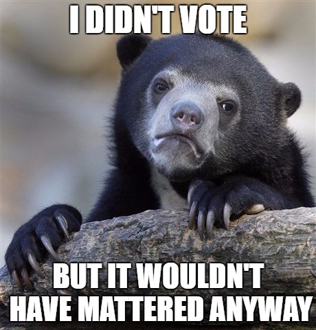 Confession Bear | I DIDN'T VOTE; BUT IT WOULDN'T HAVE MATTERED ANYWAY | image tagged in memes,confession bear | made w/ Imgflip meme maker