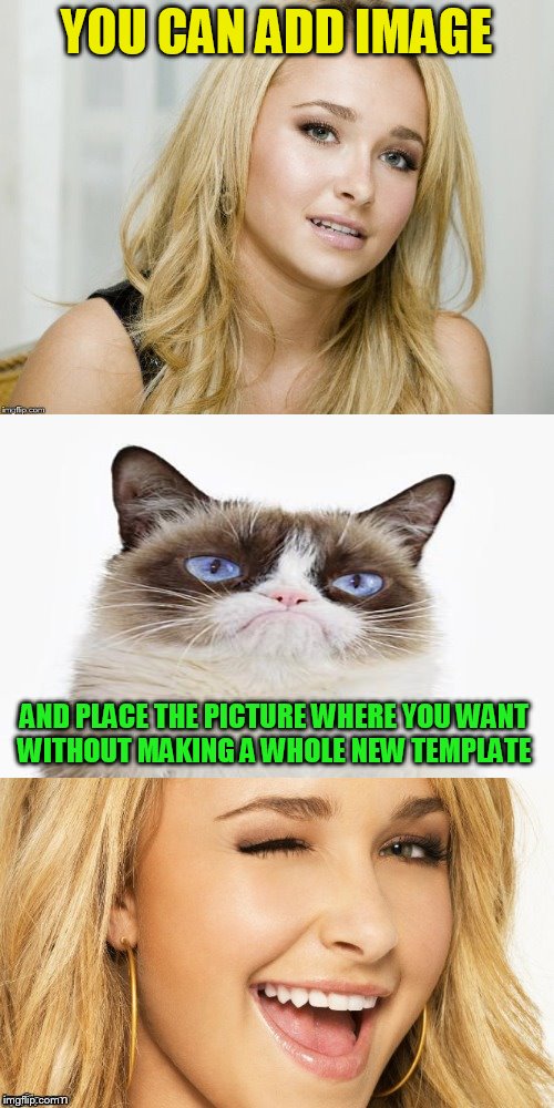 Bad Pun Hayden Panettiere | YOU CAN ADD IMAGE AND PLACE THE PICTURE WHERE YOU WANT WITHOUT MAKING A WHOLE NEW TEMPLATE | image tagged in bad pun hayden panettiere | made w/ Imgflip meme maker