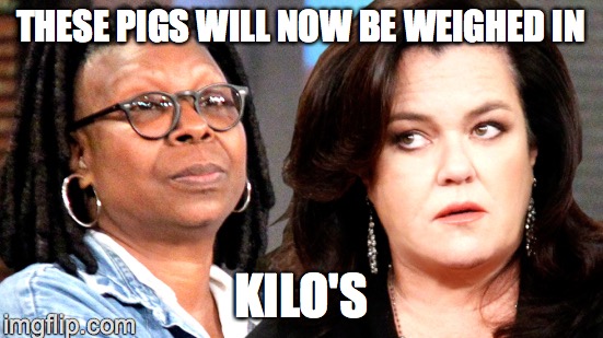 THESE PIGS WILL NOW BE WEIGHED IN; KILO'S | image tagged in rosie o'donnell | made w/ Imgflip meme maker