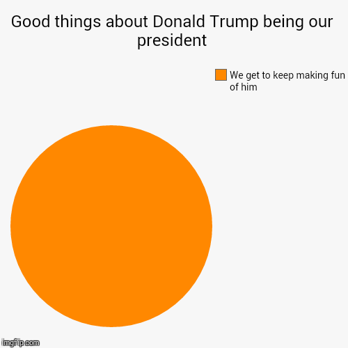 image tagged in funny,pie charts,trhtimmy,memes | made w/ Imgflip chart maker