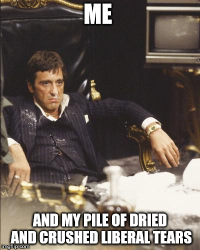 SCARFACE | ME; AND MY PILE OF DRIED AND CRUSHED LIBERAL TEARS | image tagged in scarface | made w/ Imgflip meme maker