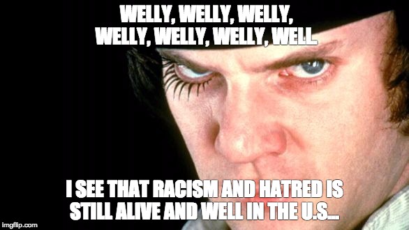 hatred violence  | WELLY, WELLY, WELLY, WELLY, WELLY, WELLY, WELL. I SEE THAT RACISM AND HATRED IS STILL ALIVE AND WELL IN THE U.S... | image tagged in hatred violence | made w/ Imgflip meme maker