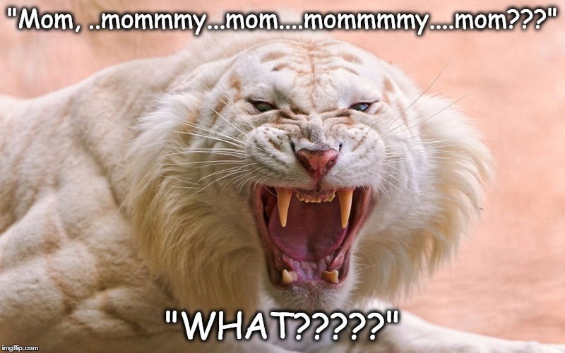 "Mom, ..mommmy...mom....mommmmy....mom???"; "WHAT?????" | image tagged in parenting,moms,funny memes,yep,funny | made w/ Imgflip meme maker