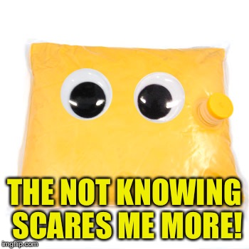 THE NOT KNOWING SCARES ME MORE! | made w/ Imgflip meme maker