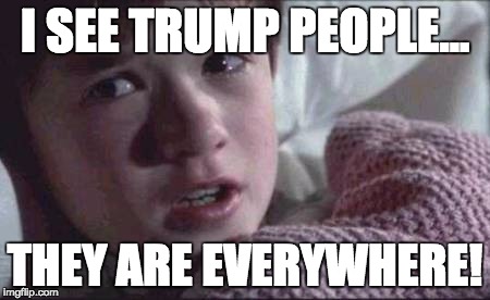I See Dead People Meme | I SEE TRUMP PEOPLE... THEY ARE EVERYWHERE! | image tagged in memes,i see dead people | made w/ Imgflip meme maker