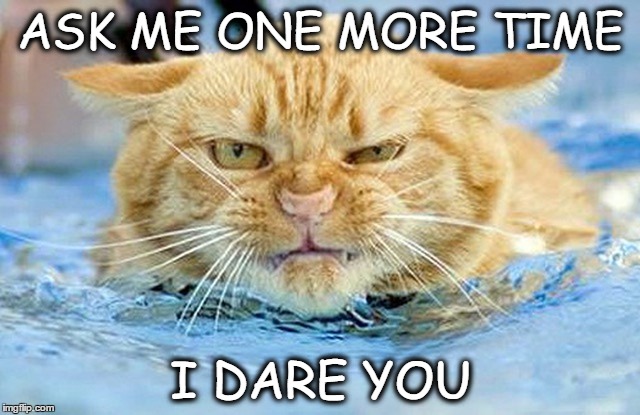 ASK ME ONE MORE TIME; I DARE YOU | image tagged in angry,annoyed,funny memes | made w/ Imgflip meme maker