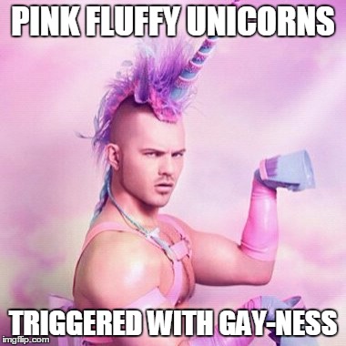 Unicorn MAN Meme | PINK FLUFFY UNICORNS; TRIGGERED WITH GAY-NESS | image tagged in memes,unicorn man | made w/ Imgflip meme maker