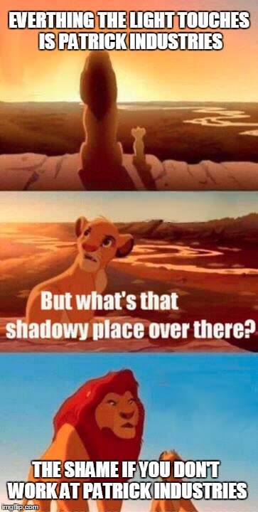 Simba Shadowy Place | EVERTHING THE LIGHT TOUCHES IS PATRICK INDUSTRIES; THE SHAME IF YOU DON'T WORK AT PATRICK INDUSTRIES | image tagged in memes,simba shadowy place | made w/ Imgflip meme maker