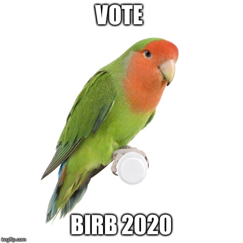 VOTE; BIRB 2020 | image tagged in 2016 election,birb,president 2016 | made w/ Imgflip meme maker