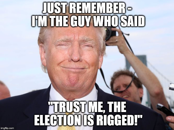 THE TRUTH HURTS DONNIE BOY! | JUST REMEMBER - I'M THE GUY WHO SAID; "TRUST ME, THE ELECTION IS RIGGED!" | image tagged in trump 2016 | made w/ Imgflip meme maker