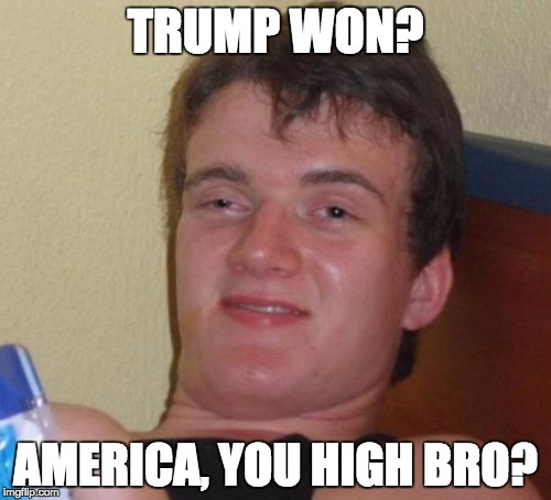 10 Guy | TRUMP WON? AMERICA, YOU HIGH BRO? | image tagged in memes,10 guy | made w/ Imgflip meme maker
