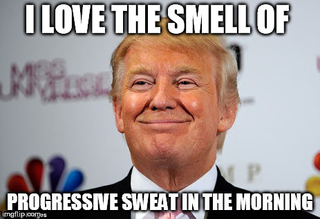 Donald trump approves | I LOVE THE SMELL OF; PROGRESSIVE SWEAT IN THE MORNING | image tagged in donald trump approves | made w/ Imgflip meme maker
