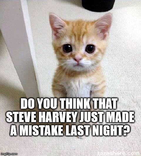 Cute Cat Meme | DO YOU THINK THAT STEVE HARVEY JUST MADE A MISTAKE LAST NIGHT? | image tagged in memes,cute cat | made w/ Imgflip meme maker