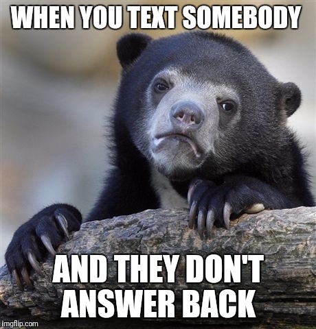 Confession Bear Meme | WHEN YOU TEXT SOMEBODY; AND THEY DON'T ANSWER BACK | image tagged in memes,confession bear | made w/ Imgflip meme maker