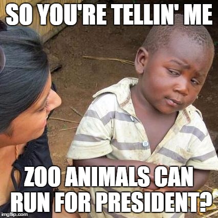 Third World Skeptical Kid Meme | SO YOU'RE TELLIN' ME ZOO ANIMALS CAN RUN FOR PRESIDENT? | image tagged in memes,third world skeptical kid | made w/ Imgflip meme maker