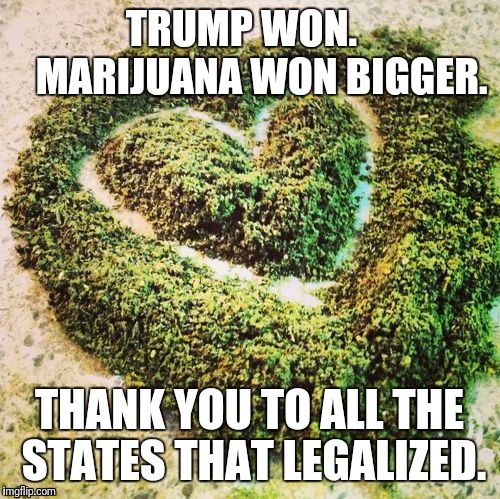Marijuana won bigger. Now thsee next 4 years won't suck as bad.  | TRUMP WON.       
MARIJUANA WON BIGGER. THANK YOU TO ALL THE STATES THAT LEGALIZED. | image tagged in marijuana,peace | made w/ Imgflip meme maker