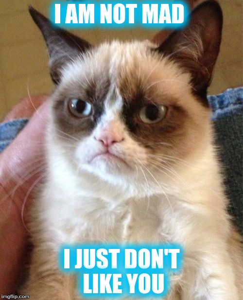 Grumpy Cat | I AM NOT MAD; I JUST DON'T LIKE YOU | image tagged in memes,grumpy cat | made w/ Imgflip meme maker