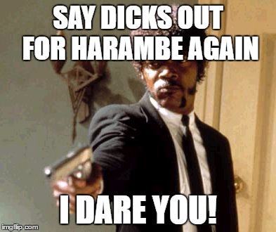 Say That Again I Dare You Meme | SAY DICKS OUT FOR HARAMBE AGAIN; I DARE YOU! | image tagged in memes,say that again i dare you | made w/ Imgflip meme maker