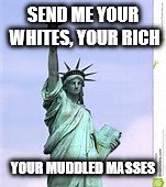 SEND ME YOUR WHITES, YOUR RICH; YOUR MUDDLED MASSES | image tagged in statue of liberty | made w/ Imgflip meme maker