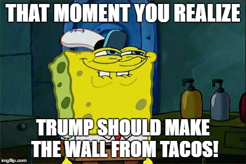 Not Hating just thought it was funny. | THAT MOMENT YOU REALIZE; TRUMP SHOULD MAKE THE WALL FROM TACOS! | image tagged in memes,dont you squidward,build a wall,tacos | made w/ Imgflip meme maker