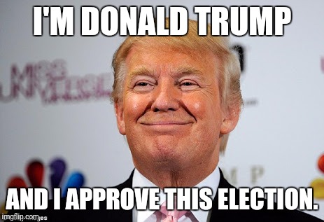 Donald trump approves | I'M DONALD TRUMP; AND I APPROVE THIS ELECTION. | image tagged in donald trump approves | made w/ Imgflip meme maker