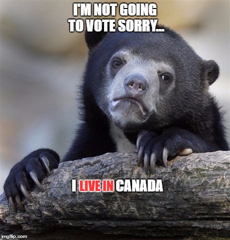 Confession Bear Meme | I'M NOT GOING TO VOTE SORRY... I               CANADA LIVE IN | image tagged in memes,confession bear | made w/ Imgflip meme maker