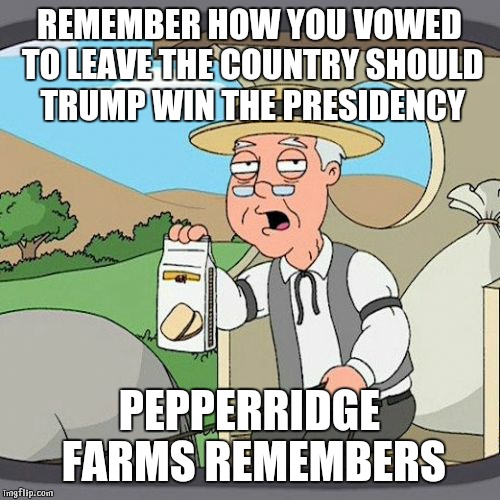 They never forgot |  REMEMBER HOW YOU VOWED TO LEAVE THE COUNTRY SHOULD TRUMP WIN THE PRESIDENCY; PEPPERRIDGE FARMS REMEMBERS | image tagged in memes,pepperidge farm remembers,donald trump,canada | made w/ Imgflip meme maker