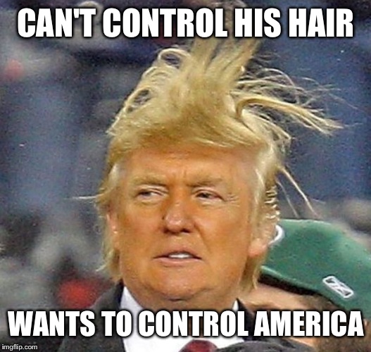 Donald Trump Hair | CAN'T CONTROL HIS HAIR; WANTS TO CONTROL AMERICA | image tagged in donald trump hair | made w/ Imgflip meme maker