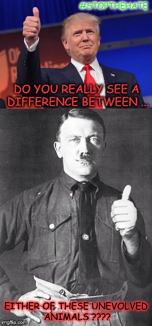Hitler's doppelganger, Trump ! | #STOPTHEHATE; DO YOU REALLY SEE A DIFFERENCE BETWEEN ... EITHER OF THESE UNEVOLVED ANIMALS ???? | image tagged in donald trump,trump,trump hitler,hitler trump | made w/ Imgflip meme maker