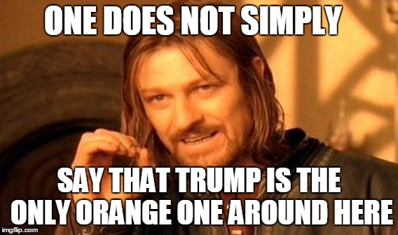 Lets see how the next 4 years turn out.... | ONE DOES NOT SIMPLY; SAY THAT TRUMP IS THE ONLY ORANGE ONE AROUND HERE | image tagged in memes,one does not simply | made w/ Imgflip meme maker