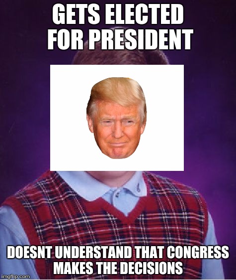 Bad Luck Brian Meme | GETS ELECTED FOR PRESIDENT; DOESNT UNDERSTAND THAT CONGRESS MAKES THE DECISIONS | image tagged in memes,bad luck brian | made w/ Imgflip meme maker