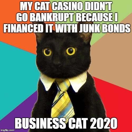 Hope for the Future of America | MY CAT CASINO DIDN'T GO BANKRUPT BECAUSE I FINANCED IT WITH JUNK BONDS; BUSINESS CAT 2020 | image tagged in memes,business cat | made w/ Imgflip meme maker