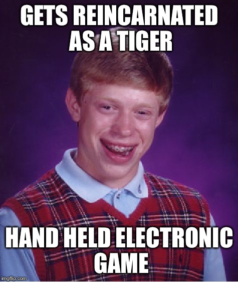 Bad Luck Brian | GETS REINCARNATED AS A TIGER; HAND HELD ELECTRONIC GAME | image tagged in memes,bad luck brian,tiger handheld electronic game,video game | made w/ Imgflip meme maker