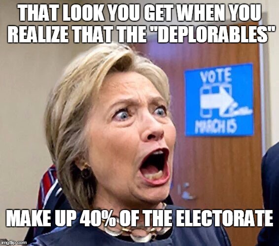 Hillary Triggered | THAT LOOK YOU GET WHEN YOU REALIZE THAT THE "DEPLORABLES"; MAKE UP 40% OF THE ELECTORATE | image tagged in hillary triggered | made w/ Imgflip meme maker
