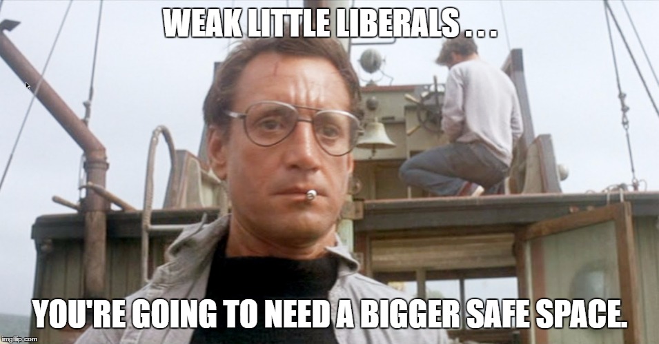 You're going to need a bigger safe space. | WEAK LITTLE LIBERALS . . . YOU'RE GOING TO NEED A BIGGER SAFE SPACE. | image tagged in safe space | made w/ Imgflip meme maker