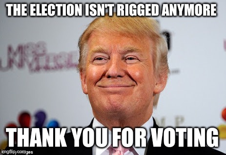 Donald trump approves | THE ELECTION ISN'T RIGGED ANYMORE; THANK YOU FOR VOTING | image tagged in donald trump approves | made w/ Imgflip meme maker