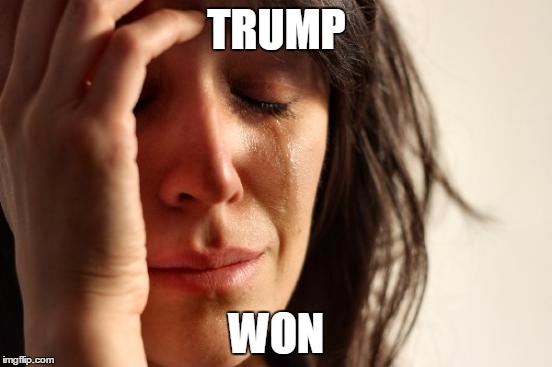 First World Problems Meme | TRUMP; WON | image tagged in memes,first world problems | made w/ Imgflip meme maker