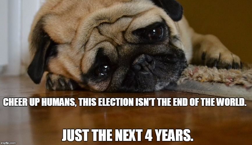 It will be ok. | CHEER UP HUMANS, THIS ELECTION ISN'T THE END OF THE WORLD. JUST THE NEXT 4 YEARS. | image tagged in election 2016,puppy,cute dog,cheer up | made w/ Imgflip meme maker