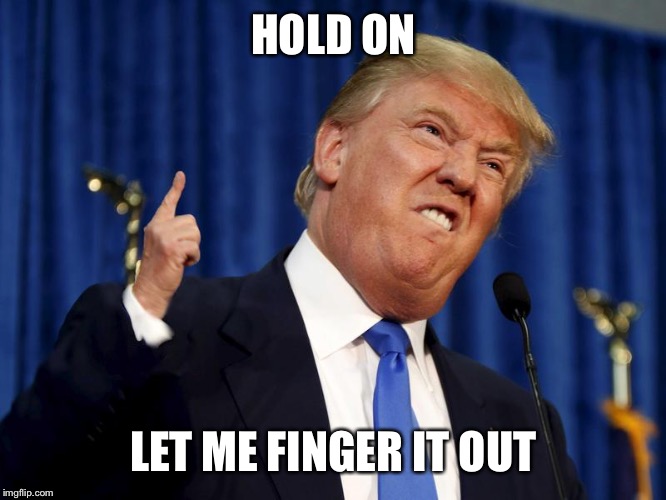 Trump's Finger | HOLD ON; LET ME FINGER IT OUT | image tagged in trump small hands,donald trump,trump,president 2016 | made w/ Imgflip meme maker