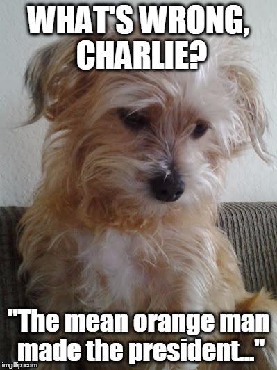Sad Charlie... | WHAT'S WRONG, CHARLIE? "The mean orange man made the president..." | image tagged in donald trump,sad charlie | made w/ Imgflip meme maker