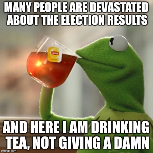 But That's None Of My Business | MANY PEOPLE ARE DEVASTATED ABOUT THE ELECTION RESULTS; AND HERE I AM DRINKING TEA, NOT GIVING A DAMN | image tagged in memes,but thats none of my business,kermit the frog | made w/ Imgflip meme maker