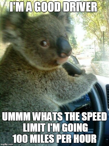 Driving koala  | I'M A GOOD DRIVER; UMMM WHATS THE SPEED LIMIT I'M GOING 100 MILES PER HOUR | image tagged in driving koala | made w/ Imgflip meme maker