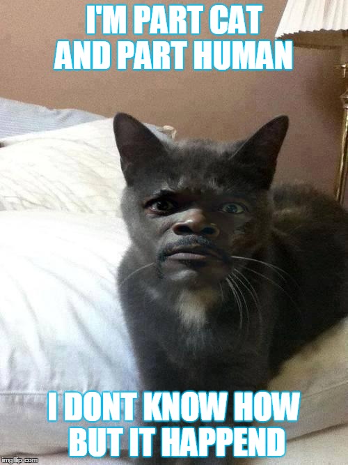 Samuel L Catson | I'M PART CAT AND PART HUMAN; I DONT KNOW HOW BUT IT HAPPEND | image tagged in samuel l catson | made w/ Imgflip meme maker