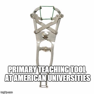 Sheep are sheep | PRIMARY TEACHING TOOL AT AMERICAN UNIVERSITIES | image tagged in castration,college liberal | made w/ Imgflip meme maker