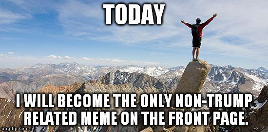 Today I Will Exceed My Goals | TODAY; I WILL BECOME THE ONLY NON-TRUMP RELATED MEME ON THE FRONT PAGE. | image tagged in today i will exceed my goals | made w/ Imgflip meme maker
