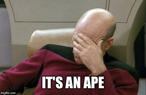 Captain Picard Facepalm Meme | IT'S AN APE | image tagged in memes,captain picard facepalm | made w/ Imgflip meme maker