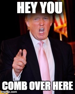 Donald Trump | HEY YOU; COMB OVER HERE | image tagged in donald trump | made w/ Imgflip meme maker