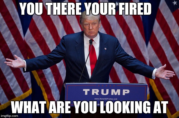 Donald Trump | YOU THERE YOUR FIRED; WHAT ARE YOU LOOKING AT | image tagged in donald trump | made w/ Imgflip meme maker