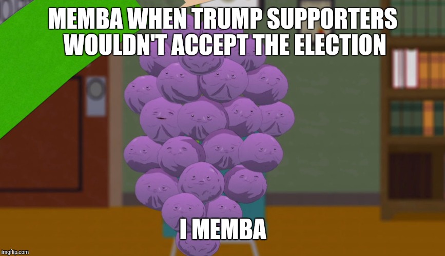 member berries | MEMBA WHEN TRUMP SUPPORTERS WOULDN'T ACCEPT THE ELECTION; I MEMBA | image tagged in member berries | made w/ Imgflip meme maker